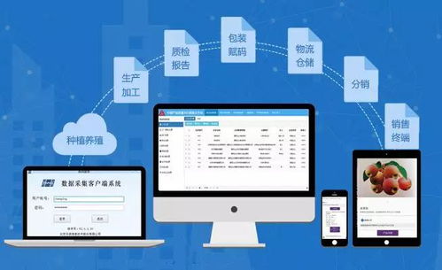 兆信股份 溯源為何離不開物聯(lián)網(wǎng)與物聯(lián)網(wǎng)技術(shù)服務(wù)
